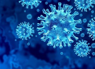 malabar image_malabar news