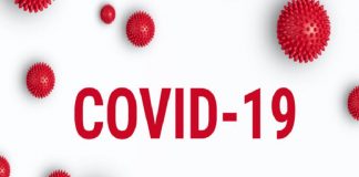 Covid 19 Kerala Report 2020 Nov 01- Malabar News