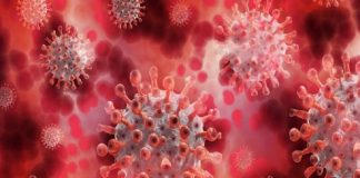 കോവിഡ് വ്യാപനം രൂക്ഷം; രാജ്യത്ത് ക്ഷയരോഗികളെ കോവിഡ് പരിശോധനക്ക് വിധേയരാക്കും – ആരോഗ്യ മന്ത്രാലയം Malabarnews_covid spread