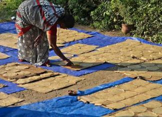 pappadam_2020 Aug 25