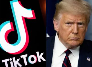 trump tick tok_2020 Aug 23