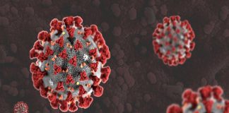 MalabarNews_ covid update