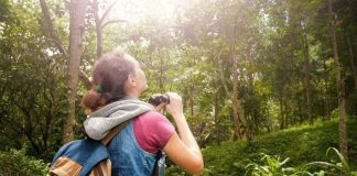eco tourism_2020 Aug 19