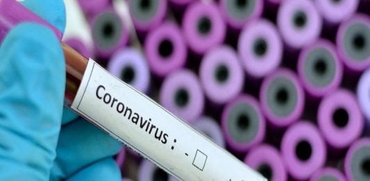 Malabar News _ 2020 Aug 15th COVID Image