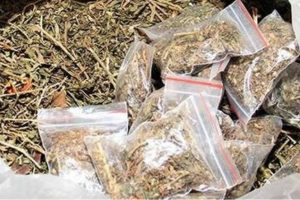 Ganja News_2020 Aug 15