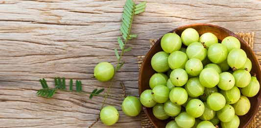 Indian gooseberry_2018 july 30