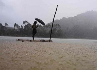 മഴ കനത്തുതന്നെ: താഴ്ന്ന പ്രദേശങ്ങൾ വെള്ളത്തിൽ, ജാഗ്രതയോടെ വയനാട് wayanad-rain-Malabar-News