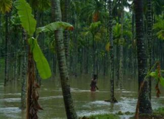 palakkad-rain-Malabar-News