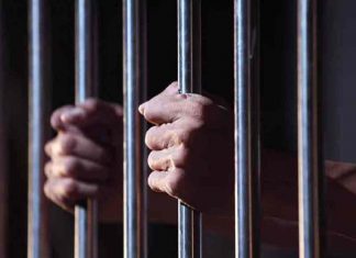 കന്യാല കൂട്ടക്കൊല: പ്രതി റിമാൻഡിൽ remand-Malabar-News