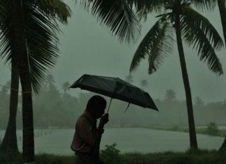 മഴക്കാല മുന്നൊരുക്കങ്ങൾ; ബത്തേരി നഗരസഭയിൽ ക്യാംപുകളും റെസ്ക്യൂ ടീമും രൂപീകരിച്ചു