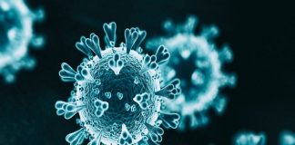 കോവിഡ്; രാജ്യത്ത് 24 മണിക്കൂറിനുള്ളില് രോഗബാധ 80472, രോഗമുക്തി 86428 Malabarnews_covid india