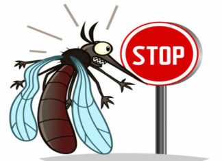 ചൈനയില് നിന്നുള്ള ക്യാറ്റ് ക്യൂ വൈറസ് ഇന്ത്യയിലും; ജാഗ്രത വേണമെന്ന് ഗവേഷകര് Cat Que Virus In India