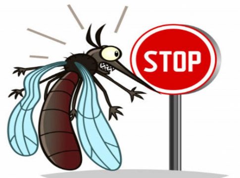 Cat Que Virus In India