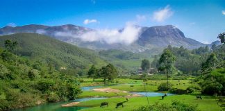 പരിസ്ഥിതിലോല പ്രദേശം; ഭേദഗതി നിര്ദേശം വ്യാഴാഴ്ച കേന്ദ്രത്തിന് സമര്പ്പിക്കും MalabarNews_buffer zone (2)