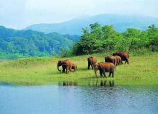 Malabarnews_wild life sanctuaries