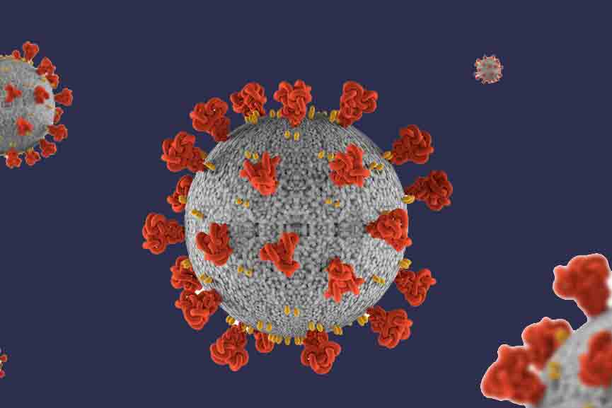 Malabar-News_Covid-Case-Malappuram_2020-Sep-26 Covid-Case-Malappuram_2020-Sep-26