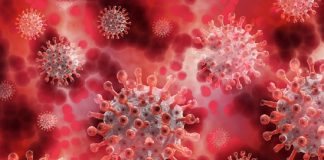 59 ലക്ഷം കടന്ന് കോവിഡ് ബാധിതര്; രാജ്യത്ത് രോഗമുക്തി നിരക്ക് ഉയര്ന്നു Malabarnews_india corona