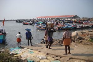 Malabarnews_fishing harbour