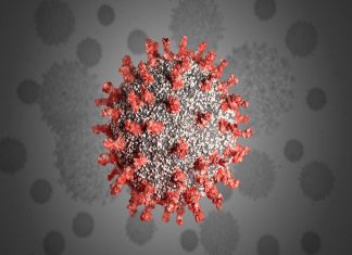 pravasalokam image_malabar news