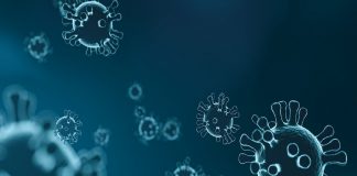 കോവിഡ്; സംസ്ഥാനത്ത് ഇന്ന് രണ്ട് മരണം കൂടി Malabarnews_covid death