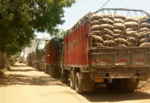 അരി ലോറിയില് കടത്തിയ 66 കിലോ കഞ്ചാവ് പിടികൂടി MalabarNews_chekpost