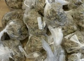 Cannabis_ Malabar News