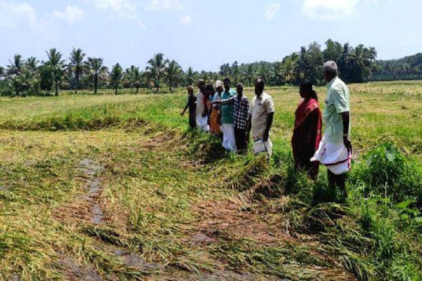 Malabarnews_kannur Malabarnews_kannur