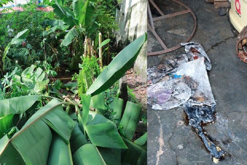 MalabarNews_Antisocials anti socials in kalaripparamp