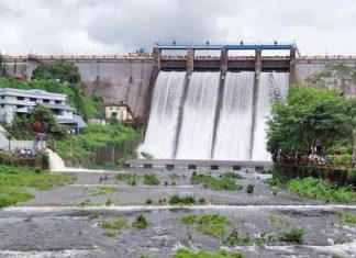 കാലവര്ഷം ശക്തം: പീച്ചി ഡാം തുറന്നു peechi dam_ Malabar News