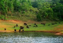 ജനവാസ കേന്ദ്രങ്ങളെ പരിസ്ഥിതി ദുര്ബല മേഖലയായി പ്രഖ്യാപിച്ചതിനെതിരെ കര്ഷക സംഘടനകള് MalabarNews_wildlife sanctury
