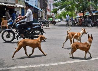 malabar image_malabar news