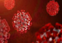 കോഴിക്കോട് ജില്ലയില് കോവിഡ് ബാധിക്കുന്നവരില് ഏറെയും യുവാക്കള് Malabarnews_covid death in thrissur