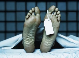 Malabarnews_palakadu