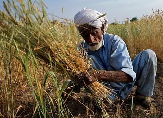 കാര്ഷിക ബില്ലുമായി മുന്നോട്ട്: കേന്ദ്രം farm bill_Malabar News