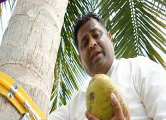 kouthuka varthakal_malabar news