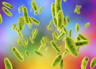 ബയോഫാര്മ പ്ലാന്റിലുണ്ടായ ചോര്ച്ചയില് ചൈനയില് ആയിരക്കണക്കിന് അളുകള് രോഗബാധിതര് MalabarNews_Brucella-bacteria