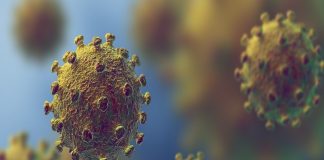 കോവിഡ് വ്യാപനം ഉയര്ന്നു തന്നെ; 52 ലക്ഷം കടന്ന് രാജ്യത്ത് രോഗ ബാധിതര് Malabarnews_covid in india