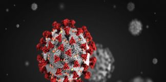 കോവിഡ്; ആശങ്ക ഒഴിയാതെ വയനാട് malabar image_malabar news