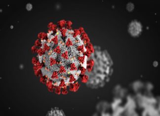 malabar image_malabar news