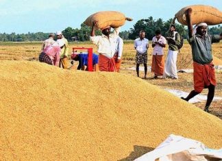 paddy storage _2020-Sep-16