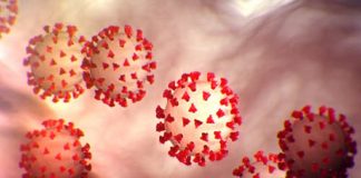 കോവിഡ് ബാധിച്ച് ചികിത്സയിലായിരുന്ന ഒരാള് മരിച്ചു Palakkad Covid Death