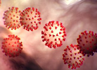 Palakkad Covid Death