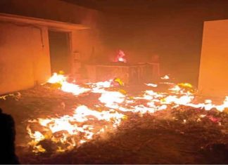 fire in chips manufacturing unit