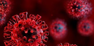 coronavirus_Malabar News