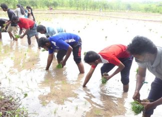 Cholamunda-Malabar News