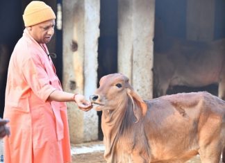 യുപിയില് ദേശീയ സുരക്ഷ നിയമം ചുമത്തിയവരില് ഭൂരിഭാഗവും ഗോവധത്തിന് അറസ്റ്റിലായവര് MalabarNews_yogi aditynath