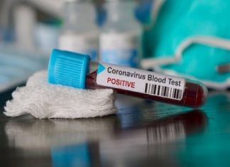 pravasilokam image_malabar news