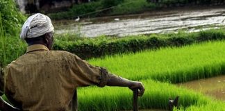 പിഎം കിസാൻ പദ്ധതി; തമിഴ്നാട്ടിൽ 110 കോടിയുടെ തട്ടിപ്പ് pm kisan_2020 Sep 09