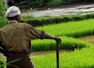 പിഎം കിസാൻ പദ്ധതി; തമിഴ്നാട്ടിൽ 110 കോടിയുടെ തട്ടിപ്പ് pm kisan_2020 Sep 09