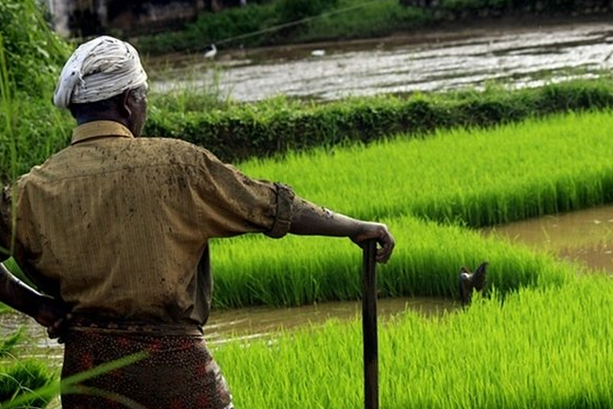 Malabar News_pm kisan_2020 Sep 09 pm kisan_2020 Sep 09